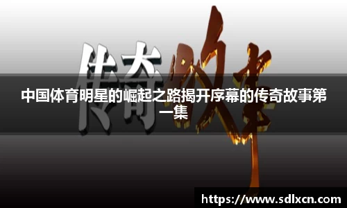 mk体育平台
