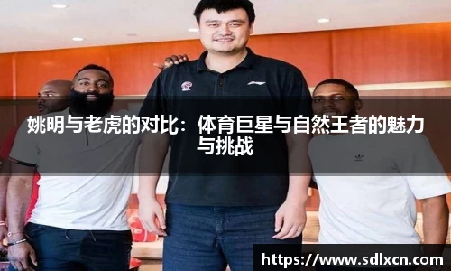 mksport体育