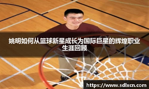 姚明如何从篮球新星成长为国际巨星的辉煌职业生涯回顾