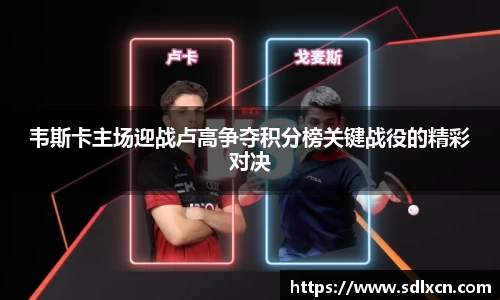 mk体育官网