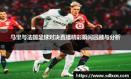mk体育