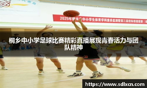 mk体育